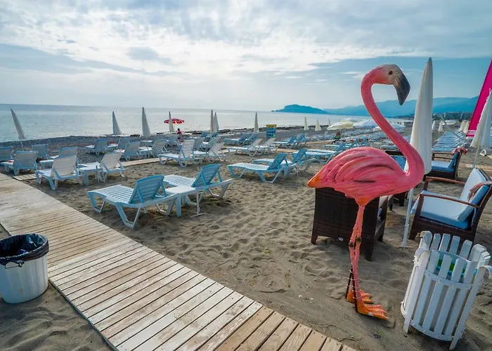 Hotell Campus Hill Alanya