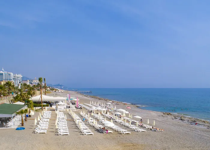 Отель Campus Hill 5*